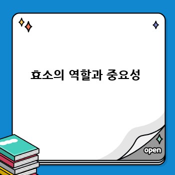 효소의 역할과 중요성