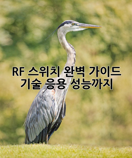 RF 스위치 완벽 가이드: 기술, 응용, 성능까지!