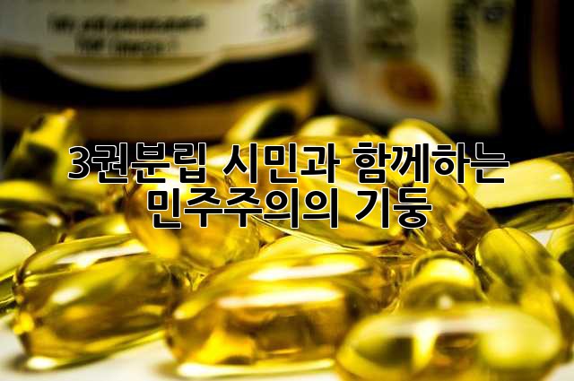 3권분립: 시민과 함께하는 민주주의의 기둥