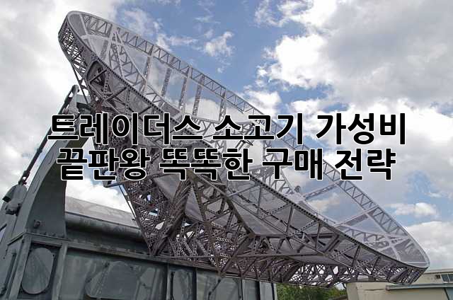 트레이더스 소고기, 가성비 끝판왕? 똑똑한 구매 전략!