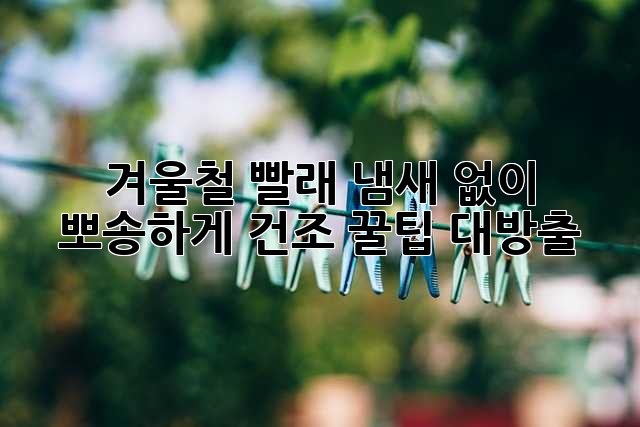 겨울철 빨래 냄새 없이 뽀송하게! 건조 꿀팁 대방출