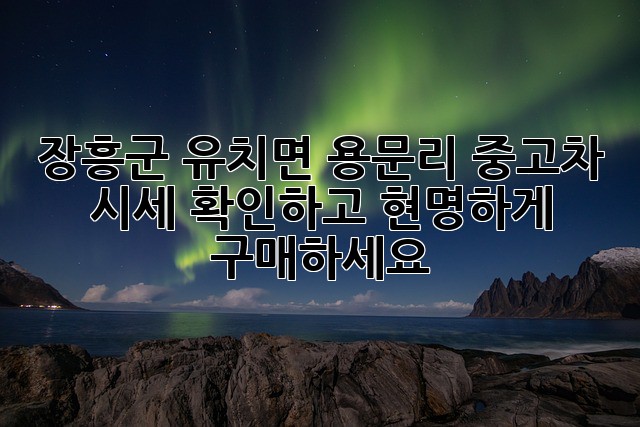 장흥군 유치면 용문리 중고차 시세 확인하고 현명하게 구매하세요!