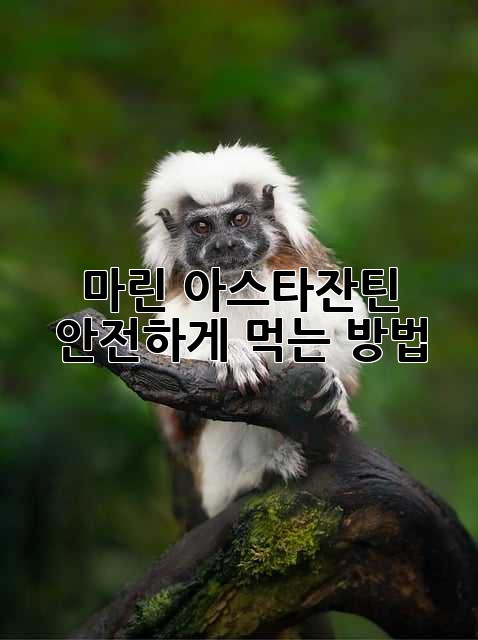 마린 아스타잔틴 안전하게 먹는 방법