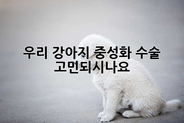 우리 강아지, 중성화 수술 고민되시나요? 🤔