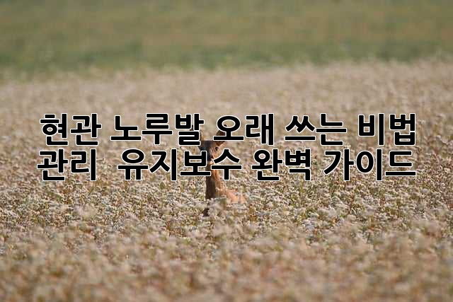 현관 노루발 오래 쓰는 비법: 관리 & 유지보수 완벽 가이드