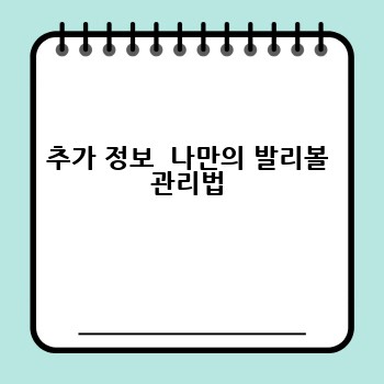 추가 정보  나만의 발리볼 관리법
